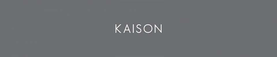 Kaison online