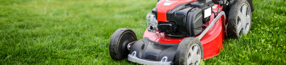 Best Lawn Mowers Price List in Philippines September 2023